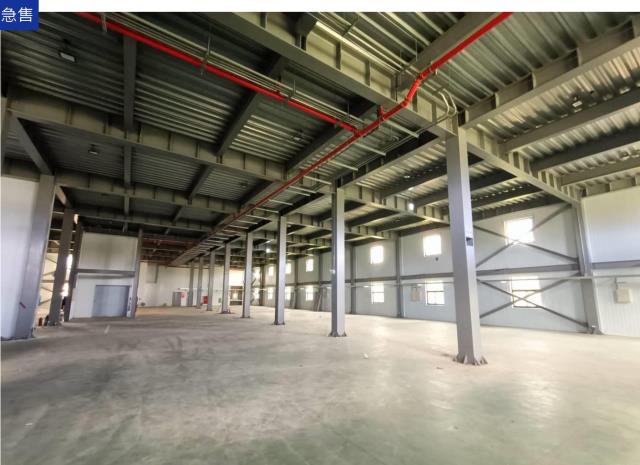 桃園龍潭廠房-2