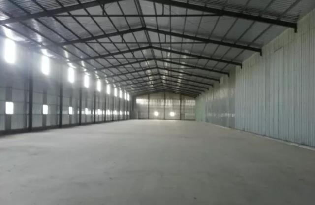 桃園大園廠房-0