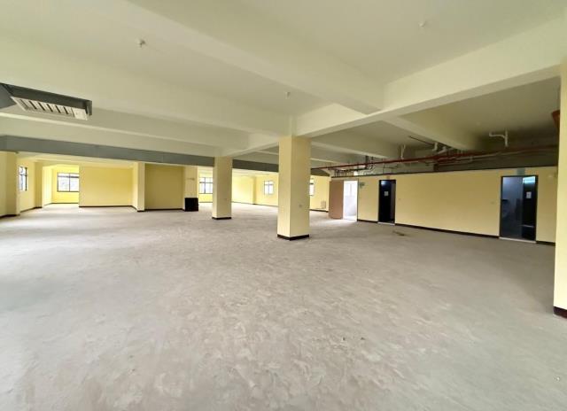 桃園中壢廠房-0