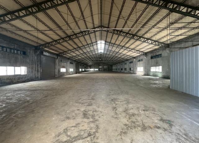 桃園中壢廠房-0
