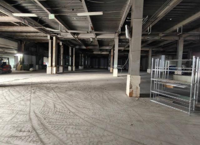 桃園中壢廠房-0