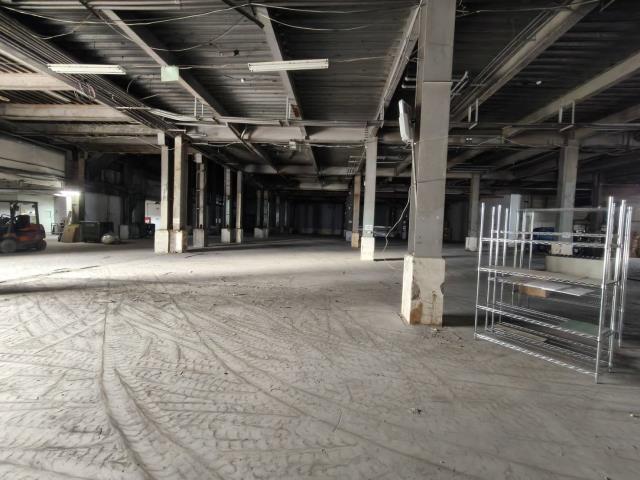 桃園中壢廠房-1