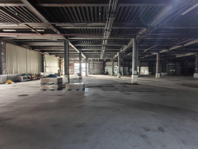 桃園中壢廠房-0