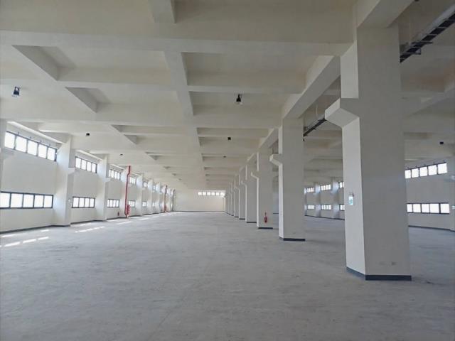 桃園觀音廠房-1