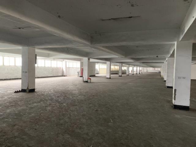 桃園觀音廠房-0