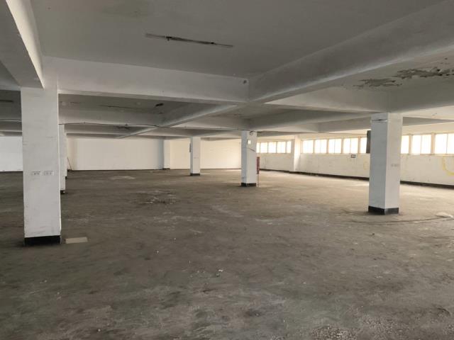 桃園觀音廠房-1