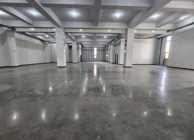 桃園觀音廠房-0