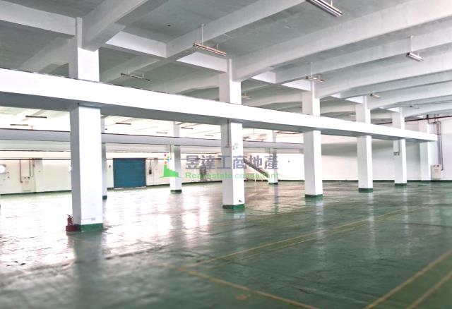 林口廠房-0