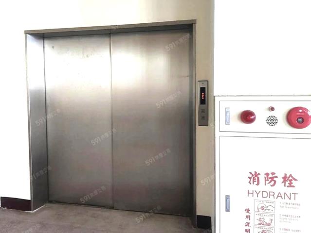 桃園龍潭廠房-4